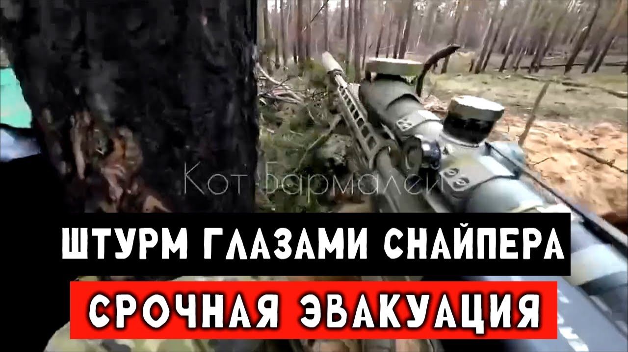 СВО Штурм глазами снайпера. смотреть онлайн