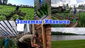 Огородно-тепличные дела, закончил утеплять дом, впереди отделка