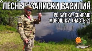 Двое суток в лесу. Рыбалка, морошка. ( часть 2)