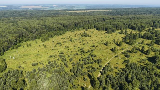 Дача художников смотреть онлайн