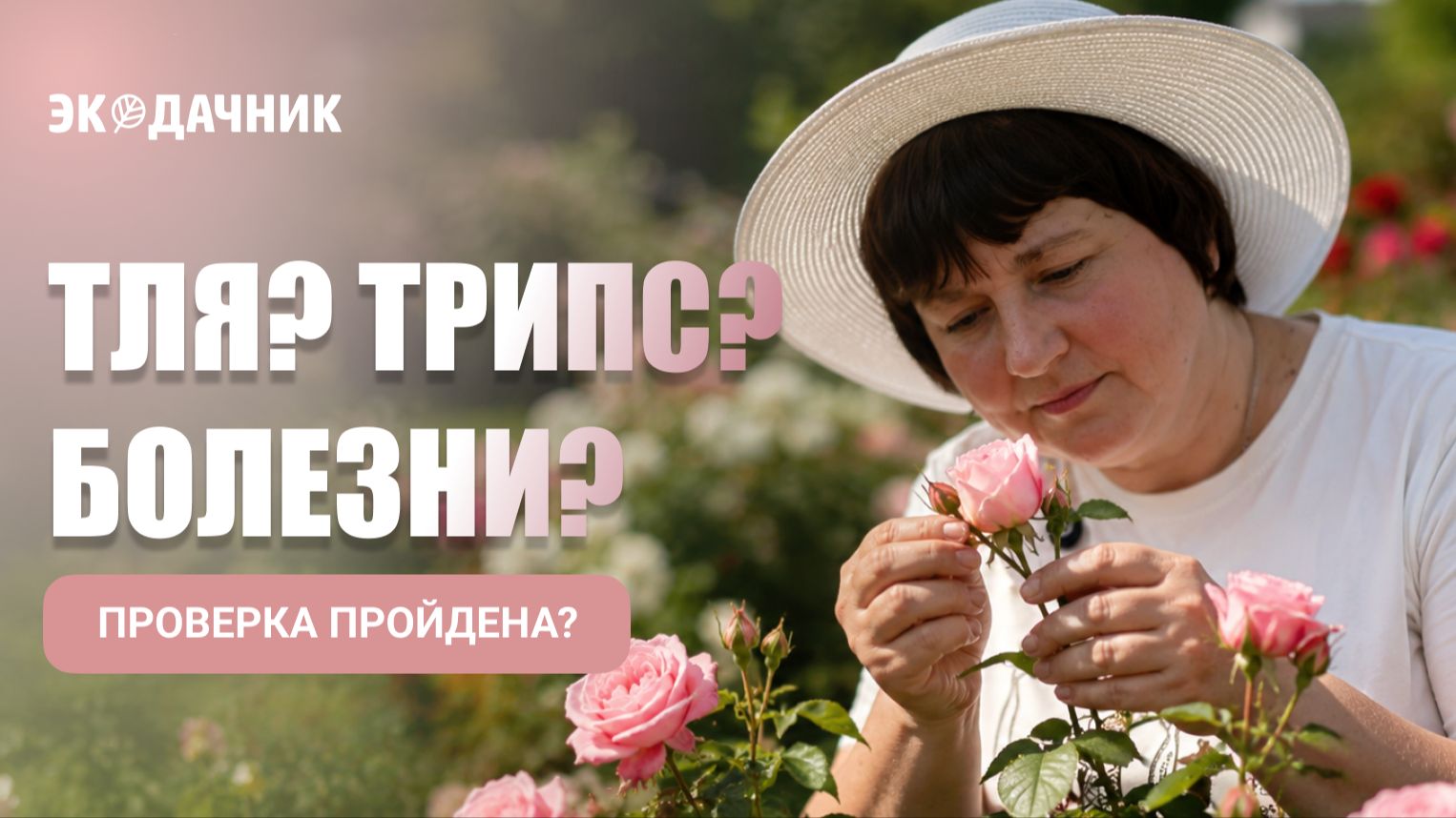 1000 роз без химии! Секреты ухода от Константина Сам себе агроном смотреть онлайн