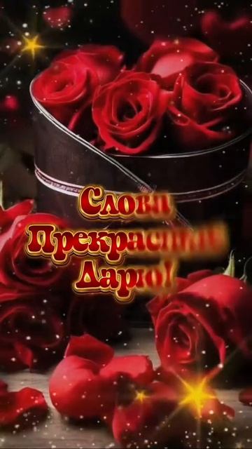 1000006606.mp4 смотреть онлайн