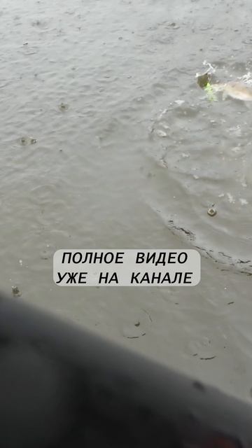 ДЕМБЕЛЬСКАЯ РЫБАЛКА,ТРОЛЛИНГ НА МОСКВЕ-РЕКЕ (УЖЕ НА КАНАЛЕ)