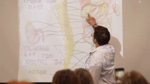 Боль в спине? Проверьте кишечник!