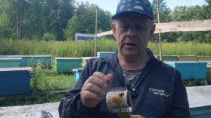 Особенности откачки мёда на профессиональной пасеке для ускорения процесса