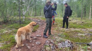 Собаки озера Лама. Dogs at Lama Lake