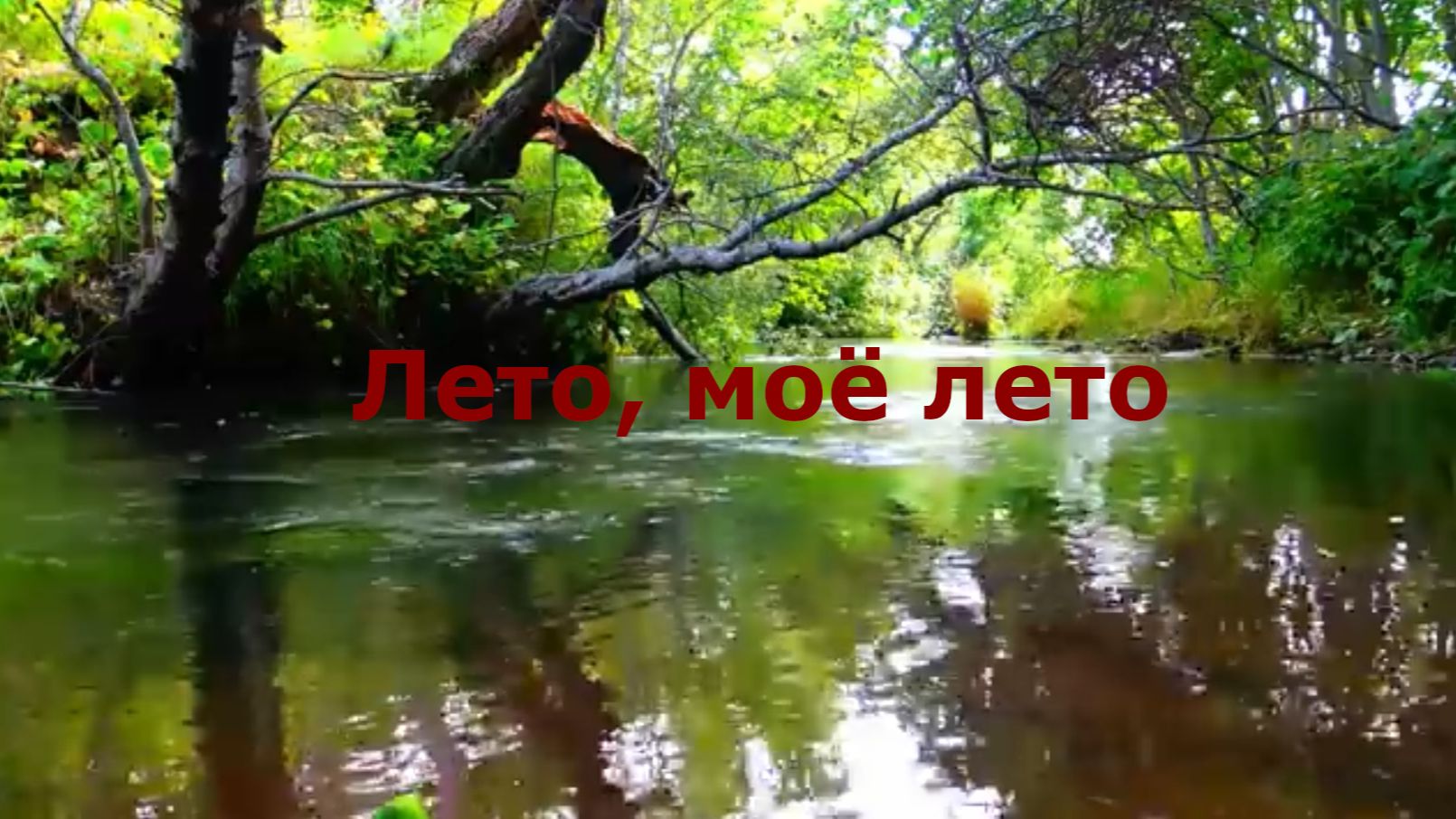 Лето, моё лето смотреть онлайн