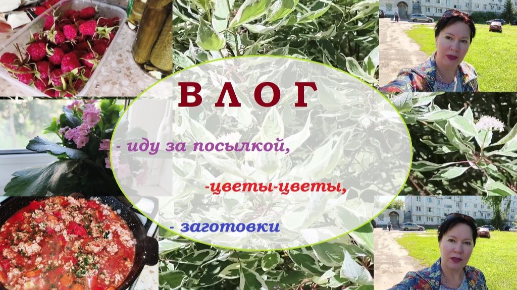 БолтоВЛОГиЯ