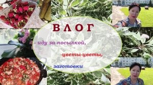 ВЛОГ.Иду за посылкой. Цветы-цветы.Заготовки
