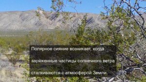Цветовая терапия: Подборка для восстановления нервов