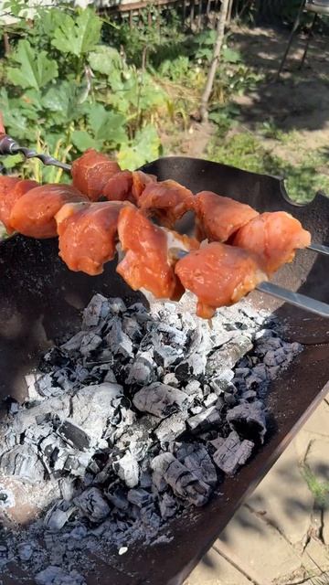 ШАШЛЫК на УГЛЯХ, ДРОВАХ и БРИКЕТАХ – какой РЕАЛЬНО вкуснее?