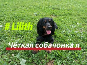 Лиля в эфире 😎👍