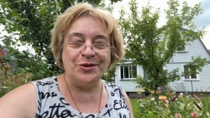 Рецепт теста любимой пиццы. Любашкин шедевр. Место для клубники.