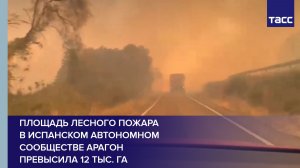 Площадь лесного пожара в испанском автономном сообществе Арагон превысила 12 тыс. га