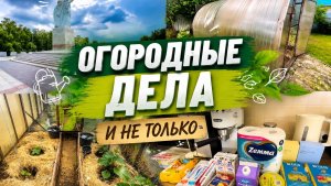 К маме в гости и по делам/Что у нас в огороде