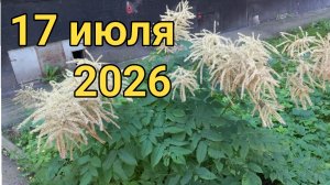 17 июля 2026. Июльские хождения...