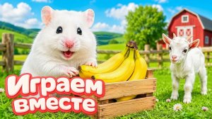 ХОМЯК ВЫБИРАЕТСЯ ИЗ СЕКРЕТНОЙ ХОМЯЧЕЙ ТЮРЬМЫ ! Забавные животные ! Супер лабиринт для хомяка №59