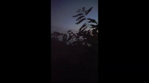 Многие люди уже всё поняли и почувствовали изменения_HD