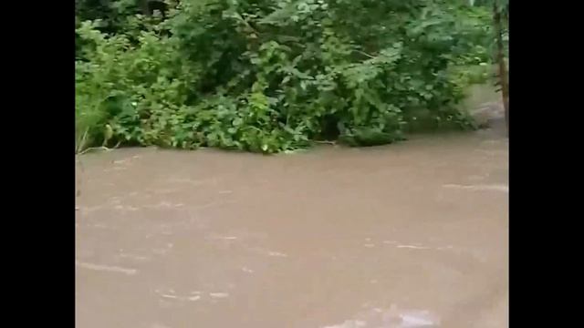 Мощный шторм обрушился на Пермский край