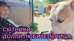 САМВЕЛ АДАМЯН, СЫТНИКИ, ДОЛЛИ ЛЮБИТЕЛЬНИЦА..