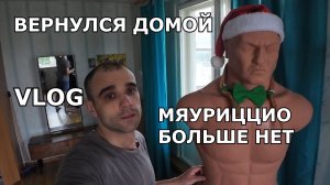 ВЕРНУЛСЯ ДОМОЙ / ПРОБЛЕМЫ В ДОРОГЕ НА ПОЕЗДЕ / МЯУРИЦЦИО БОЛЬШЕ НЕТ / ВЛОГ