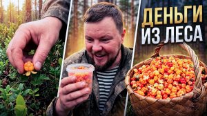 НА ЛОДКЕ ЗА МОРОШКОЙ. СОБИРАЮ ЯГОДЫ В ДИКОМ ЛЕСУ. ПОЙМАЛ ЩУКУ НА РЕКЕ. СБОР ДИКИХ ЯГОД.
