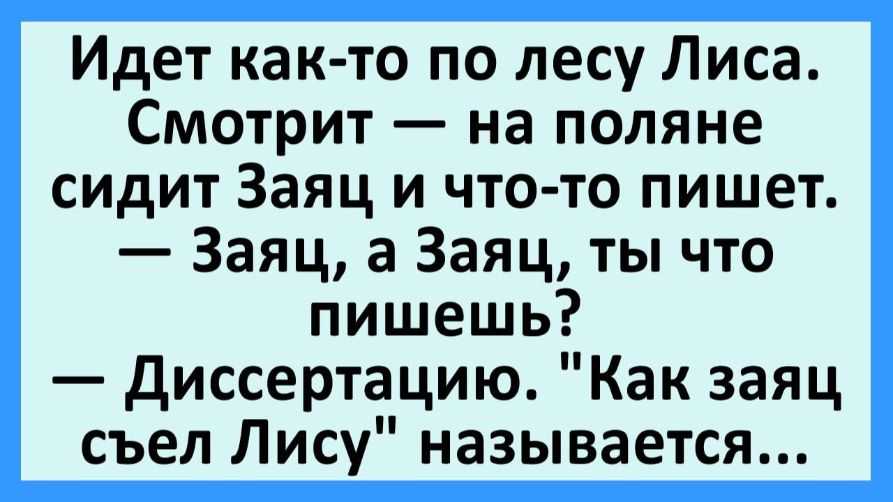Идет как-то по лесу Лиса. Смотрит — на поляне сидит Заяц... | Анекдоты смешные | Юмор смотреть онлайн
