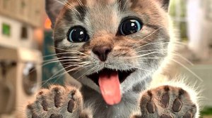 Приключение милого котенка и м