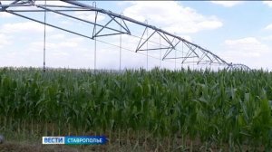 На развитие мелиорации на Ставрополье направят более миллиарда рублей
