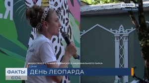 Фестиваль в честь Дня переднеазиатского леопарда прошел в Сочи