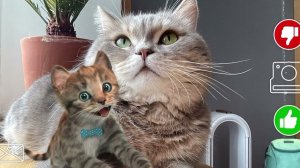 Приключенческие развивающие иг