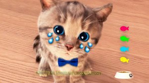 Приключения милого котенка и м