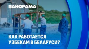 Как устроились узбеки, приехавшие работать в Беларусь? Панорама