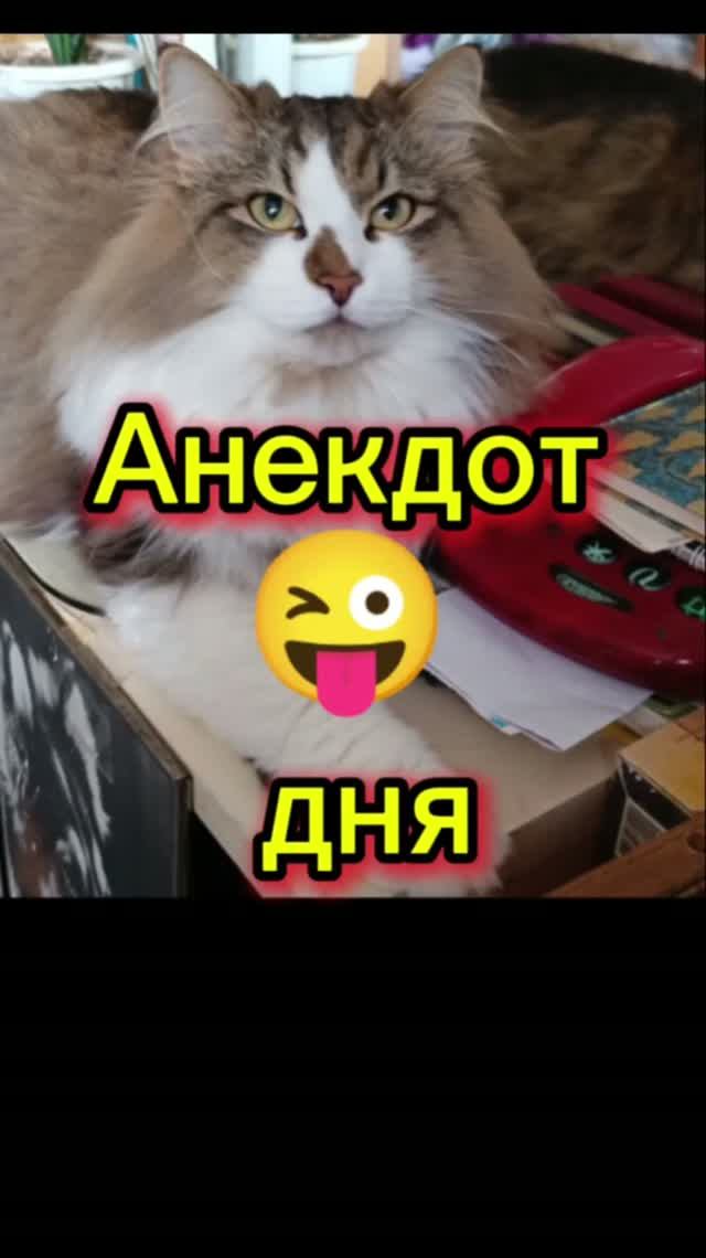 Анекдоты. Смех до слёз.