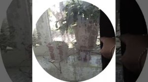 17-07-2026  18+ пошла в магазин
