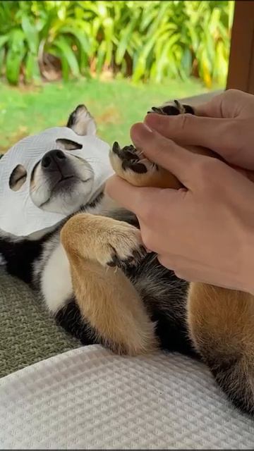 Хочу так же по пятницам