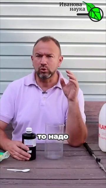 ЗАБУДЬТЕ ПРО ФИТОФТОРУ И КЛАДОСПОРИОЗ! Аптечная перекись + щепотка этого = броня для томатов и роз