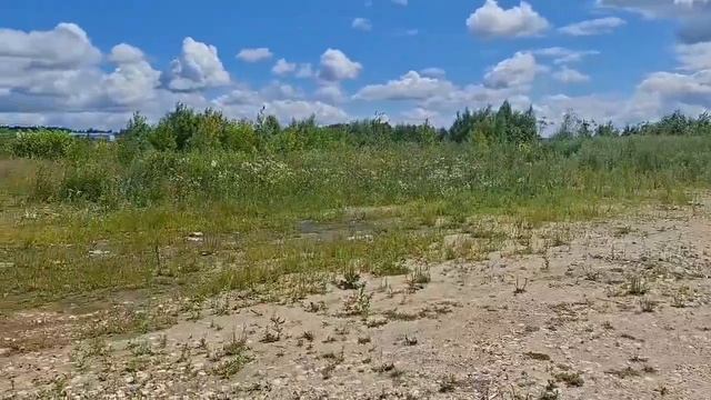 Предоставление в аренду земельного участка смотреть онлайн