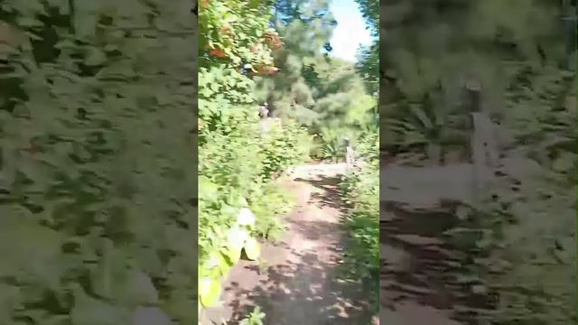 Видео WhatsApp 2025-08-27 в 15.25.12_f7cc1bb0 смотреть онлайн