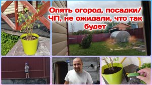 Опять огород,сажаю новый урожай.Много болтаю/ЧП,мы этого не ожидали  Часть 4