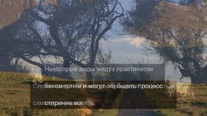 Визуальный экстаз: 50 кадров чистой красоты