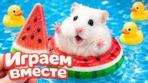 ХОМЯК ВЫБИРАЕТСЯ ИЗ СЕКРЕТНОЙ ХОМЯЧЕЙ ТЮРЬМЫ ! Забавные животные ! Супер лабиринт для хомяка №58