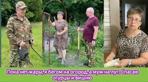 Пока нет жары, я бегом на огород, а муж на луг. Спасаю огурцы и вишню