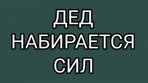 Что упало у ДОМОСЕРА?