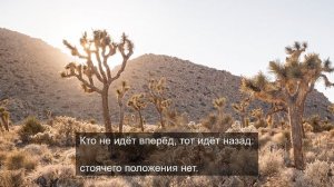 «Эстетика дождя: красота пасмурных дней»