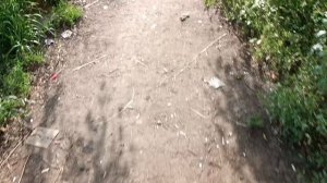 Анекдоты