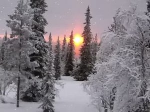 САЛЬВАТОРЕ  АДАМО - ПАДАЕТ СНЕГ