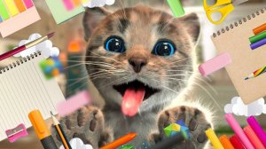 Маленький котенок, мой любимый