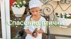 Неожиданный гость, спасаем раненную птичку. Дубонос обыкновенный.