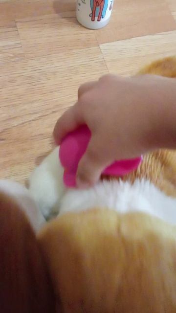 1000000372.mp4